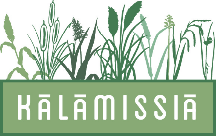 Menulux POS Sistemleri - Referanslar