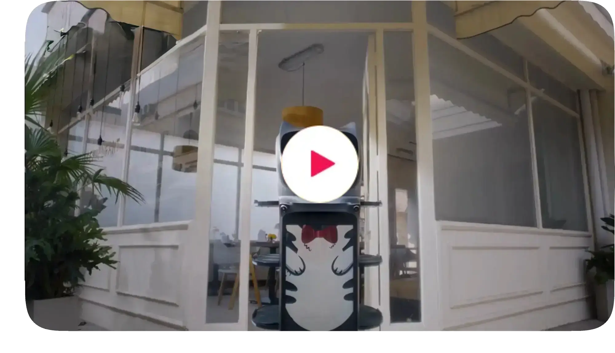 Restoran Servis Robotu - Youtube Videosu - BellaBot Pro